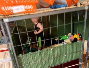 La peor madre del mundo: tenía a su hijo de 18 meses encerrado en una jaula junto a 600 animales