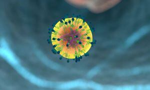 Virus del sarampión “borra” memoria del sistema inmunológico en los niños
