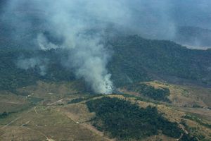 Bolsonaro hablará ante la ONU sobre incendios en la Amazonia