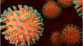 Entérate en qué se relacionan el Coronavirus y la vitamina D