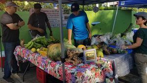Celebrarán mercado agrícola en Caguas