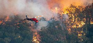 Llega a 29 la cifra de muertos por los incendios que asolan a Australia