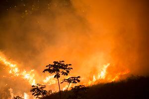 Cada semana se presentan 11 incendios forestales en Cali