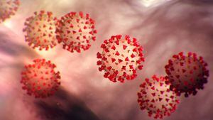 Científicos hallaron un posible punto débil del coronavirus
