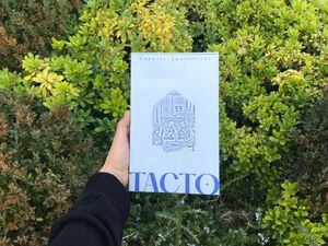 Palpando la realidad: Tacto, de Gabriel Josipovici