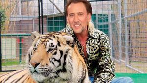 Tiger King podría convertirse en una serie protagonizada por Nicolas Cage