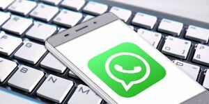 Aplicativo WhatsApp libera nova atualização beta para Android