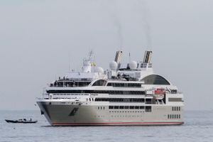 Donde fallecieron dos pasajeros por coronavirus: pareja chilena logró desembarcar del crucero Diamond Princess
