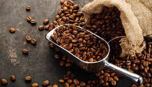 Tomar café reduce riesgo de desarrollar Alzheimer y Parkinson