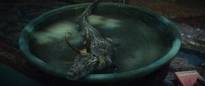 ¿De dónde salió el cocodrilo Loki y por qué destacó en el episodio 5?