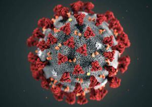 Ministério da Saúde regulamenta medidas como isolamento para evitar propagação do coronavírus