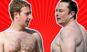 Elon Musk revive el pleito contra Mark Zuckerberg y lo reta a combatir con una rima de Dr. Seuss