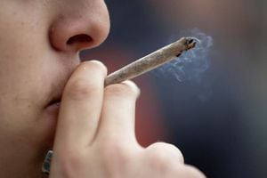 Advierten sobre la interferencia de la marihuana en al menos 50 medicamentos comunes