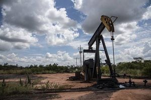 ¿Hasta cuándo seguirá el desplome del precio del petróleo?