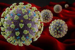 El factor que eleva los índices de mortalidad por coronavirus