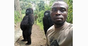 Gorilas ficam de pé e fazem pose para selfie em parque