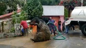 Aparece “rata gigante” en la Magdalena Contreras tras las inundaciones