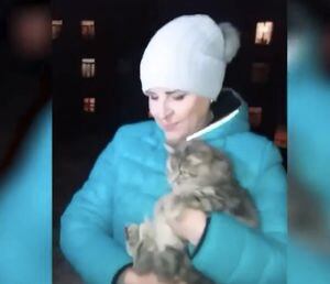 VÍDEO: Gatinho é resgatado depois de congelar suas patas e ficar preso ao chão
