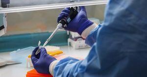 OMS por coronavirus: “La amenaza de una pandemia se ha vuelto muy real”