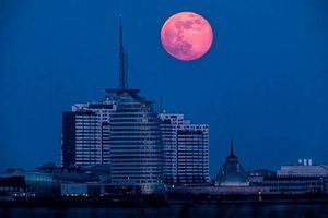 La luna se está encogiendo: informe de la NASA revela que "nuestro vecino" se arruga como una pasa por culpa de los "terremotos"