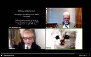 "Eu não sou um gato!": advogado ativa filtro por acidente durante julgamento via Zoom