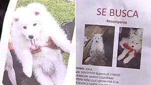 (VIDEO) Ciudadanos denuncian que se están robando las mascotas en este sector de Bogotá