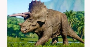 Estudantes desenterram crânio de triceratops