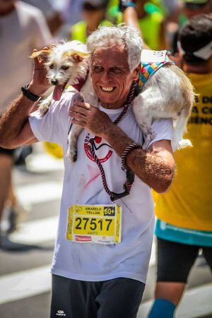 Conheça Ziggy, a cadelinha maratonista que já correu duas São Silvestres