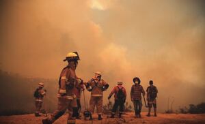 SML actualiza número de fallecidos por incendios en Valparaíso: 33 víctimas han sido identificadas