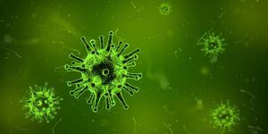 Científicos descubren "falencia" en virus con la que se podría crear una vacuna universal