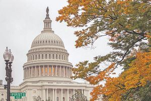 Elecciones 2018: revalidan y se suman boricuas en el Congreso