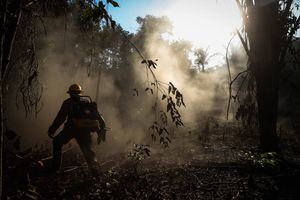 Las desgarradoras imágenes que han dejado los incendios en el Amazonas