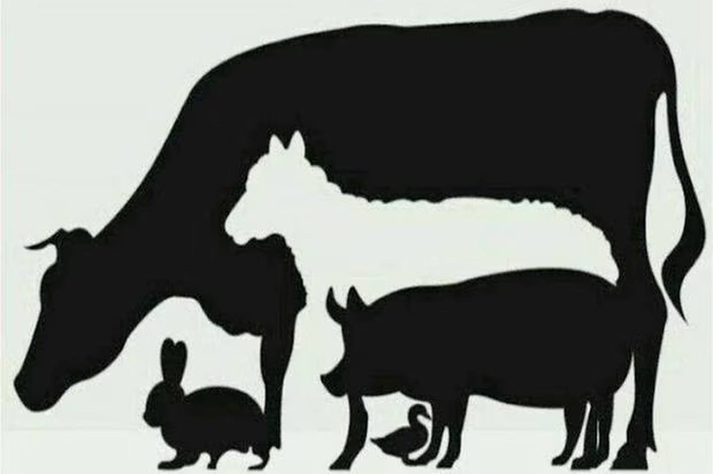 ¿Cuántos animales ves?