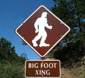 Condado de Washington (EUA) proíbe moradores e turistas de matar o 'pé-grande'