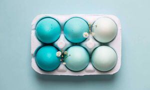 ¿Huevos azules? Existen gallinas que sí los ponen de forma natural y no tienen nada de malo