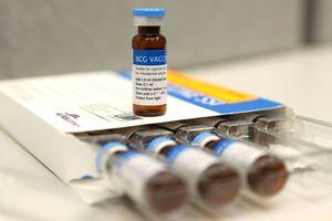 Vacina BCG será testada no Brasil contra a covid-19