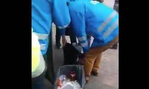 Echan blanqueador a las empanadas que decomisan por venderlas en la calle