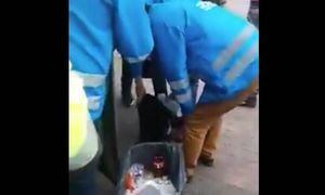 Echan blanqueador a las empanadas que decomisan por venderlas en la calle