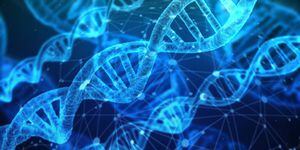 Investigadores logran aplicar edición genética CRISPR para prevenir enfermedades respiratorias mortales antes del nacimiento