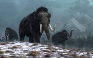 Científicos recuperan el ADN más antiguo del mundo en los restos de mamuts de más de un millón de años