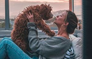 La misión espiritual de los perros en nuestra vida