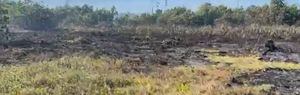 Continúa fuego en finca de Camuy