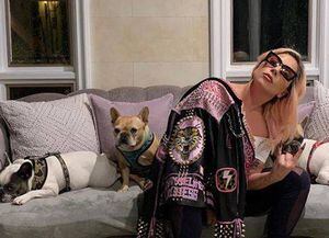 Coronavirus: Lady Gaga y su mensaje sobre la cuarentena en la que está todo el mundo