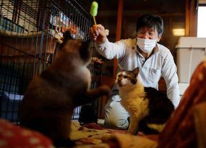 Homem resgata gatinhos abandonados em zona nuclear do Japão