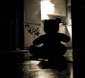 MPF prende um dos 100 maiores distribuidores de pornografia infantil do mundo