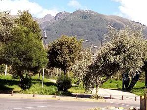 Así luce el parque La Carolina tras la cuarentena en Quito