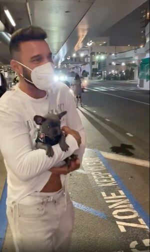 Ricky Martin adopta un perrito french bulldog