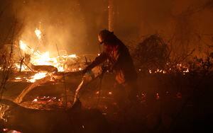 El fuego se acerca a Chile: En Mendoza hay más de 15 focos activos de incendios forestales