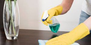 11 dicas simples para limpeza utilizando vinagre em casa