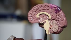 Estudio: Nuevo implante cerebral parece revertir los síntomas del Párkinson